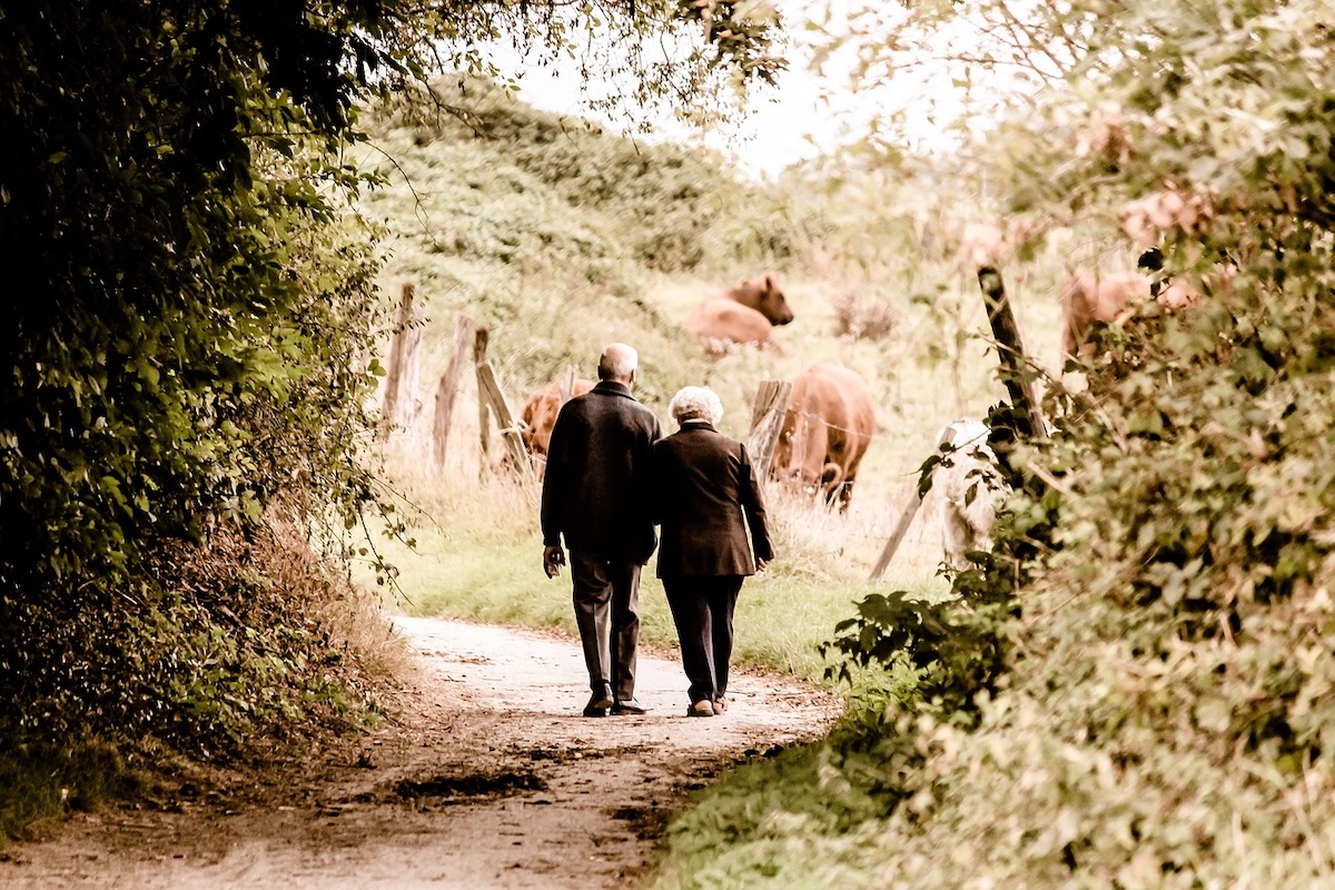 walk in a park