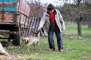 old man and a deer